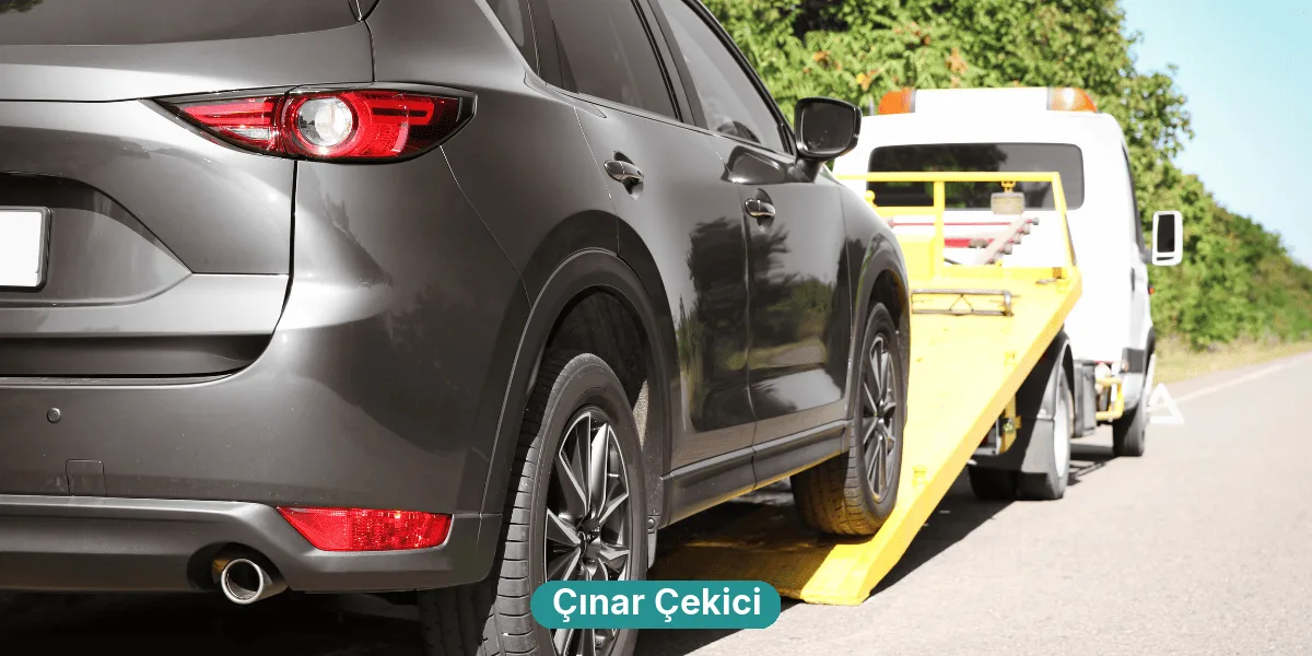 Çınar Çekici