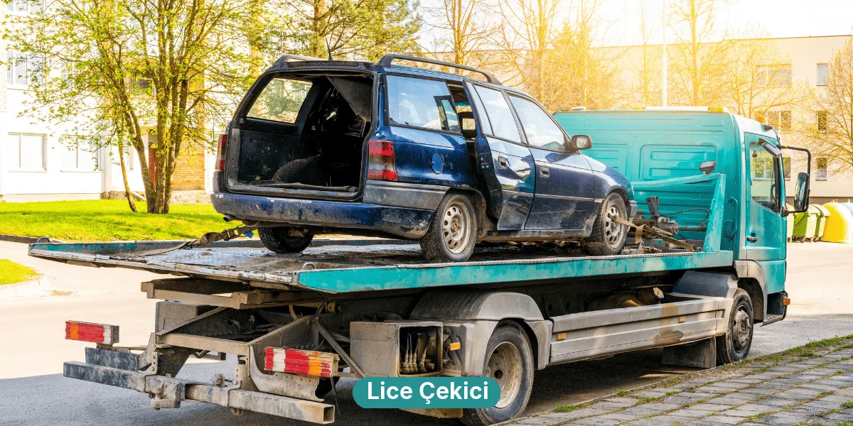 Lice Çekici