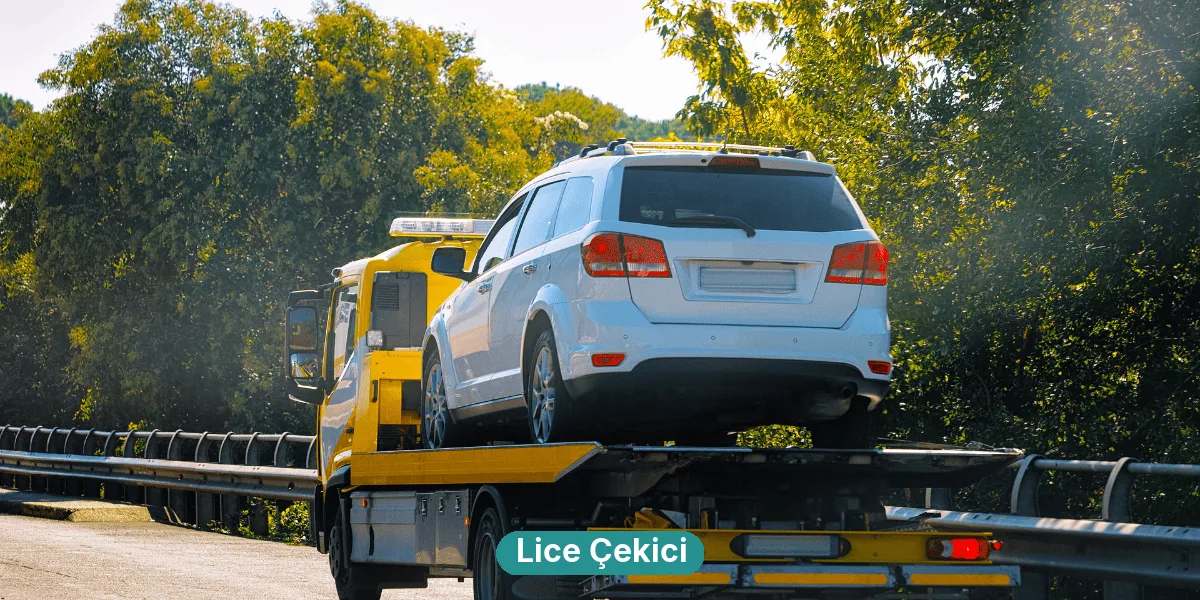 Lice Çekici